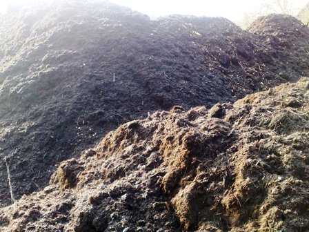 nawóz ekologiczny-lignit torfowy